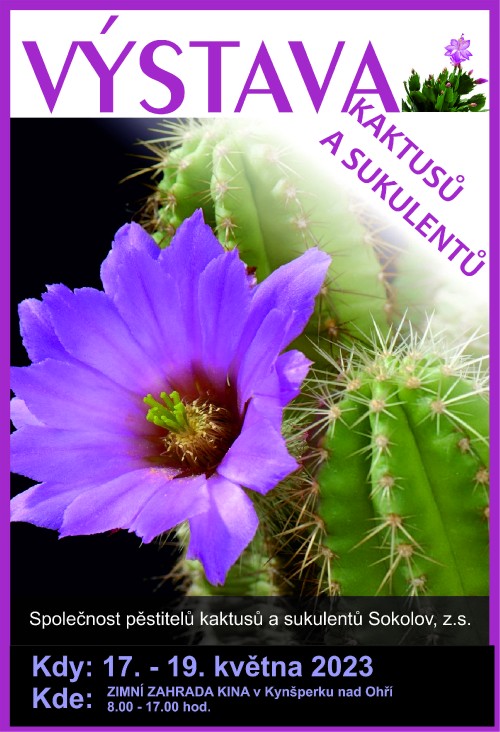 Plakát výstavy kaktusů a sukulentů